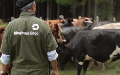 Qué hacer ante la segunda generación de garrapatas.