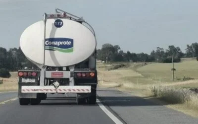 Sindicato de Conaprole responde a afirmaciones “falsas” de productores de leche.