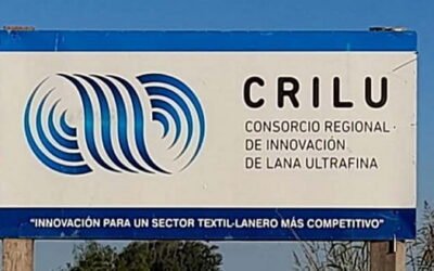Con el mercado de lanas reacomodándose, Crilu se consolida en las ultrafinas.