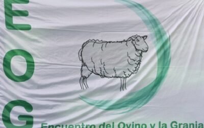 En febrero 2022 se realizará el cuarto Encuentro del Ovino y la Granja en Los Cerrillos.