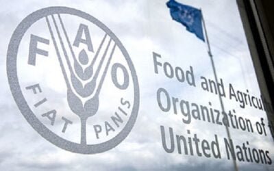 FAO insta a tomar medidas urgentes por el peor brote de aftosa desde 2001.