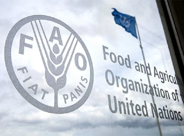 FAO insta a tomar medidas urgentes por el peor brote de aftosa desde 2001.