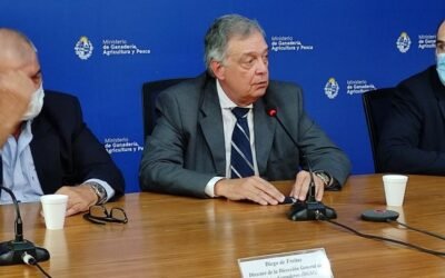 De no registrarse lluvias, el MGAP declarará emergencia agropecuaria.