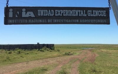 Daniel Bottero de INIA Glencoe: “Acá en el equipo todos hacen de todo”.