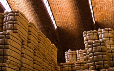Negocios en el mercado local de lanas.