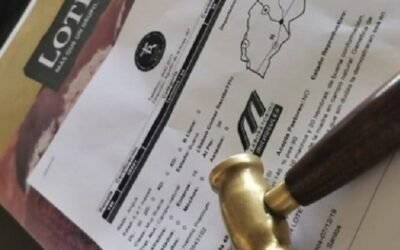 Lote 21 vendió el 96% de la oferta.