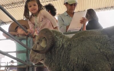 Crilu cerró inscripciones para productores que se quisieron incorporar.