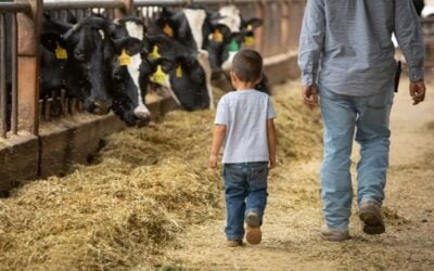 Medidas proteccionistas de Trump también afectan a la industria láctea de EE.UU.