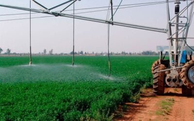 El 31 de marzo vence el plazo para el descuento del riego productivo en zafra.