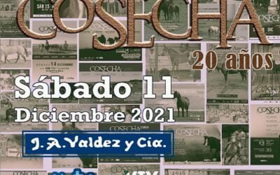 Cosecha 2021, imperdible remate de Valdez.