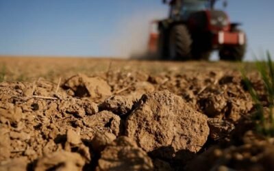 Productores agropecuarios: devolución del IVA compras de gasoil.