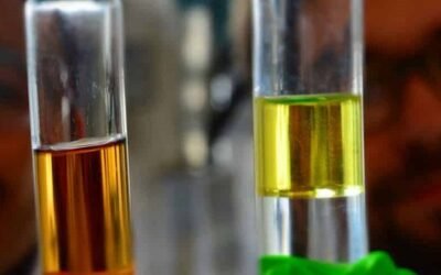 Los biocombustibles no son neutros en carbono.