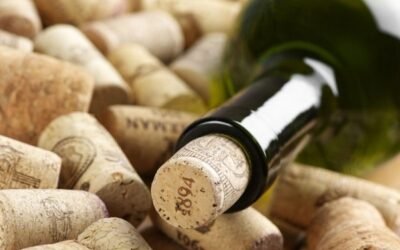 Brasil revaloriza sus vinos, crece el mercado interno y las exportaciones.