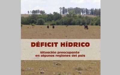 INIA: Aumenta la preocupación por déficit hídrico en distintas zonas del país.