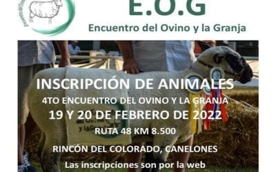 Están abiertas las inscripciones para el Encuentro del Ovino y la Granja.