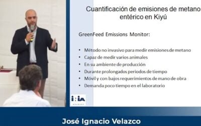 INIA y Hereford investigan la emisión de metano en vacunos.