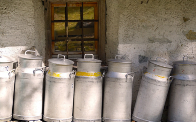 Sin marcha atrás. Cerró Calcar en Tarariras.