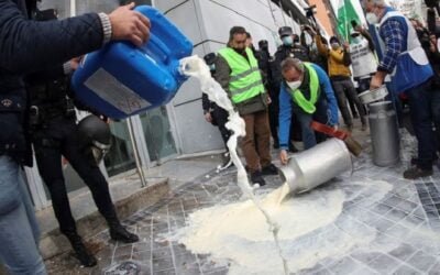 ¿A España le falta una Conaprole?