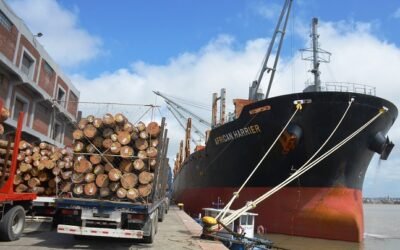 Fuerte crecimiento de las exportaciones de mayo.