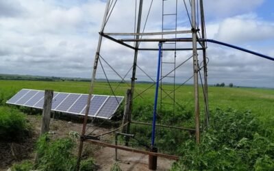 El productor uruguayo recurre a las bombas solares para garantizar el agua en sus establecimientos.