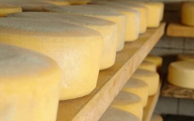 Esperando las lluvias, la feria de quesos vendió todo a precios estables.