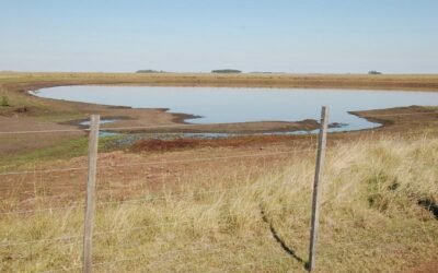 MGAP proporcionará fardos de fibra vegetal a productores familiares.