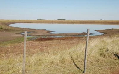 El MGAP declaró emergencia agropecuaria por déficit hídrico y senador Da Silva cuestionó el alcance de la medida.