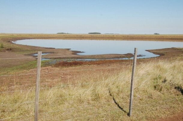 El MGAP declaró emergencia agropecuaria por déficit hídrico y senador Da Silva cuestionó el alcance de la medida.