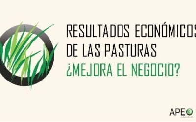 A pesar del aumento de los insumos, es posible mejorar el margen bruto ganadero.