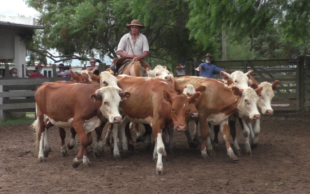La agilidad pautó la pista de “Cuchilla de Silvera”