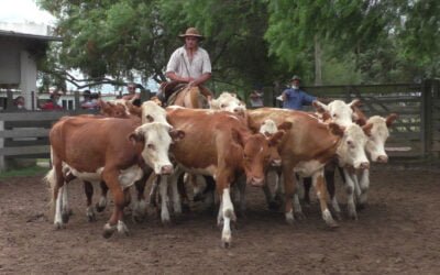 La agilidad pautó la pista de “Cuchilla de Silvera”