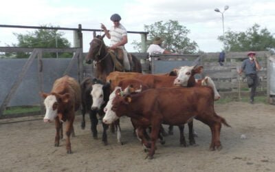 Firme la pista del local  “El Soldado”