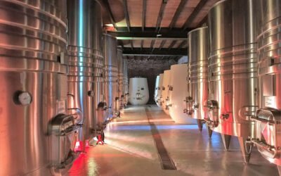 Reinauguran la más antigua bodega del Uruguay