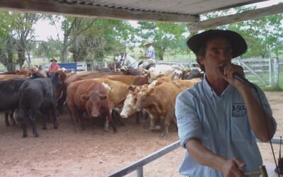 Feria de Valdez en Ansina se trasfiere para el miércoles 4 de octubre.