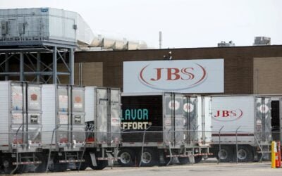 JBS invierte US$ 321 millones para entrar en el mercado del huevo.