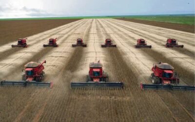 Brasil encara un 2022 con grandes expectativas de producción.