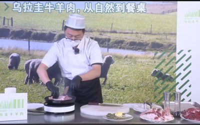 Gerente de Marketing de INAC: Esperamos un 2022 “firme y con buenas expectativas”.