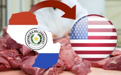Desde el 14/12 Paraguay podrá ingresar con carne a Estados Unidos.