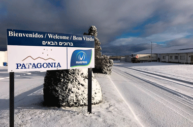 Marfrig invierte en producción de cordero en la Patagonia