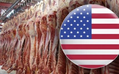 EE.UU. comenzó el año con una demanda activa y precios estables para la carne