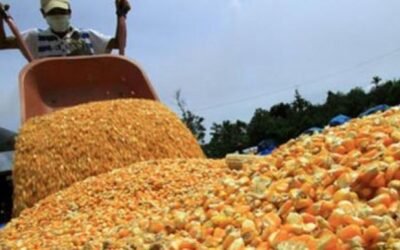 El ranking de las empresas agroexportadoras de Argentina en 2021