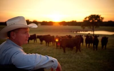Las importaciones de carne de vacuno de EE.UU. seguirán subiendo.