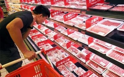 Incidencia china en las exportaciones de carne de Argentina, Brasil y Uruguay.