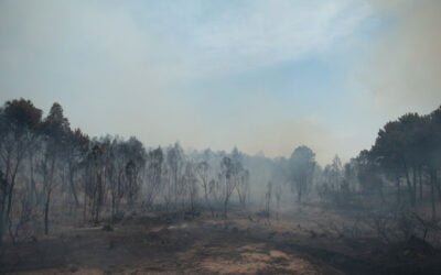 Bomberos renovará equipamiento para prevenir y combatir incendios forestales.