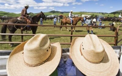 Biden y Vilsack se reúnen con productores independientes de la industria cárnica de los Estados Unidos