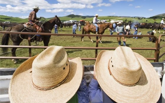 Biden y Vilsack se reúnen con productores independientes de la industria cárnica de los Estados Unidos