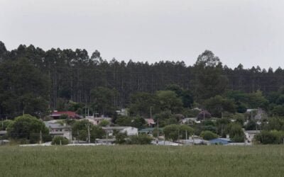 Será cuestión de estudiar cada caso