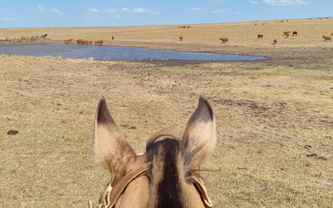Se amplía la emergencia agropecuaria