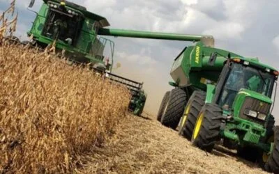 Economía paraguaya continúa creciendo con el impulso del sector primario.