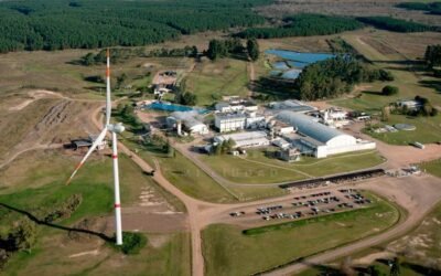 Alerta de un nuevo conflicto en la industria frigorífica